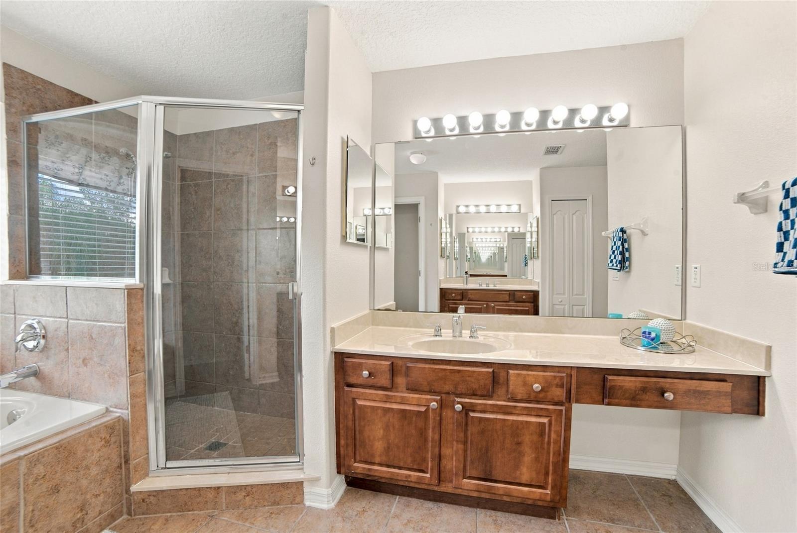 12805 Moss Park Ridge Dr Property Photo 26