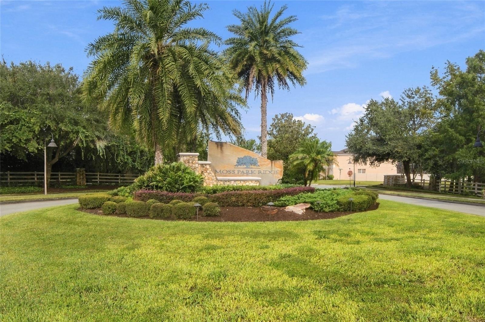 12805 Moss Park Ridge Dr Property Photo 33