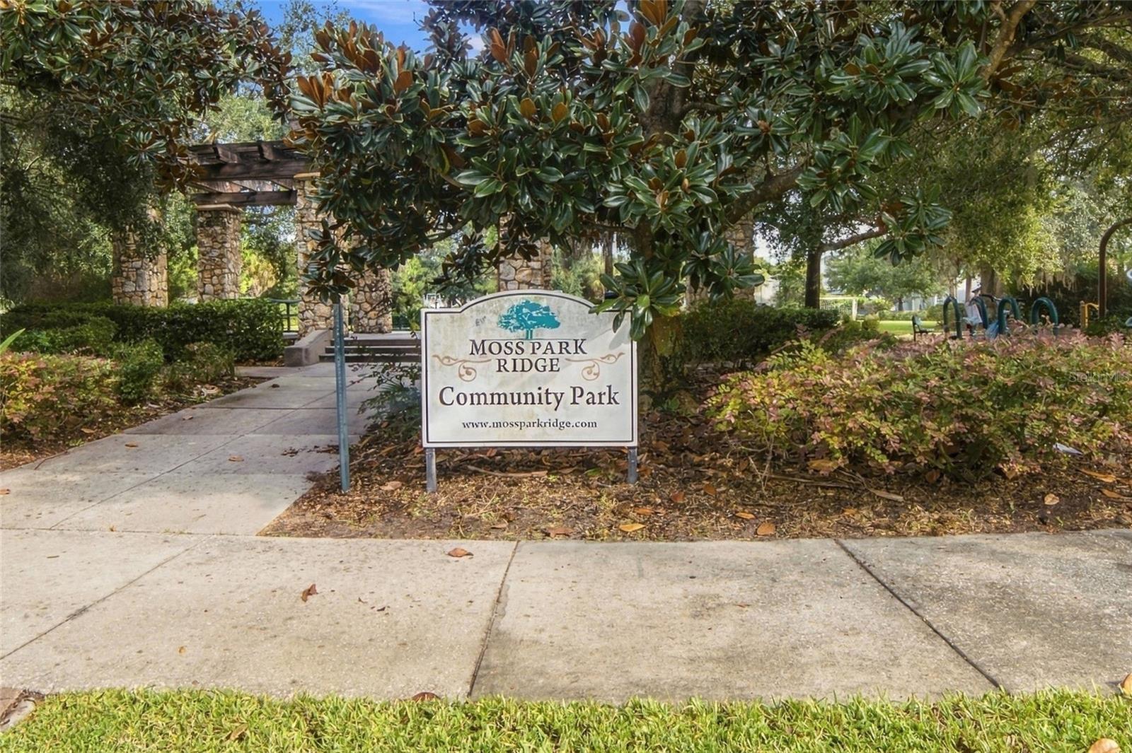 12805 Moss Park Ridge Dr Property Photo 34