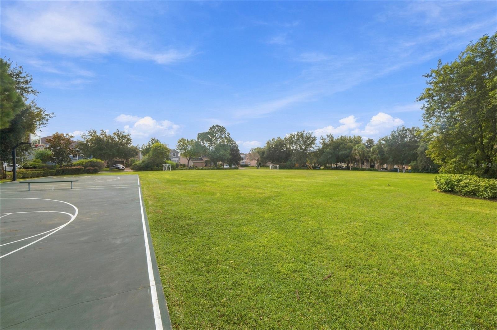 12805 Moss Park Ridge Dr Property Photo 38