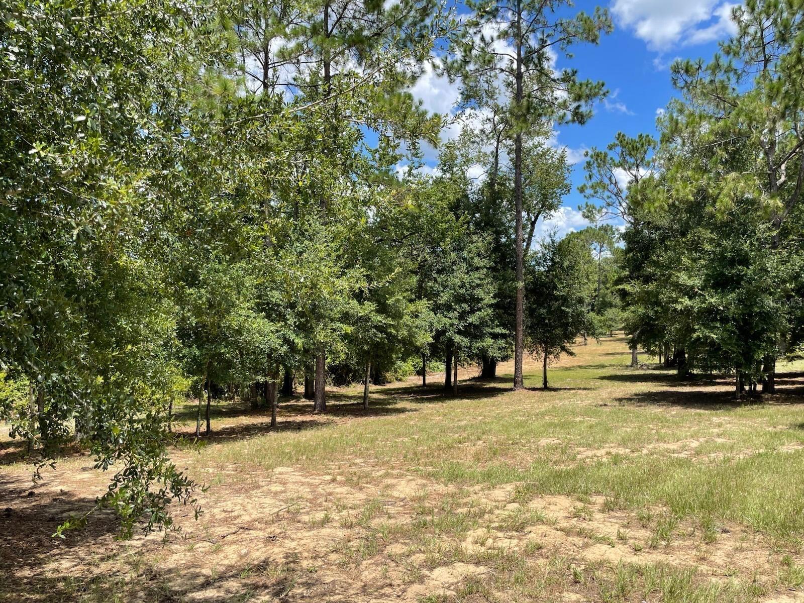 Calhoun Rd Property Photo 1