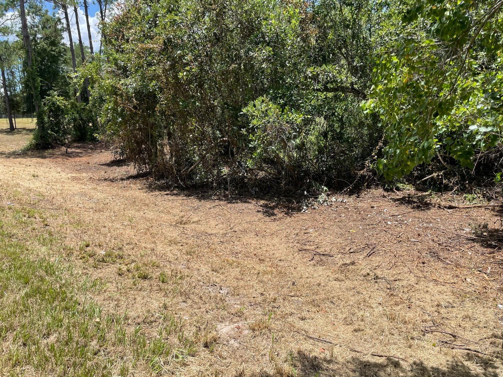 Calhoun Rd Property Photo 5