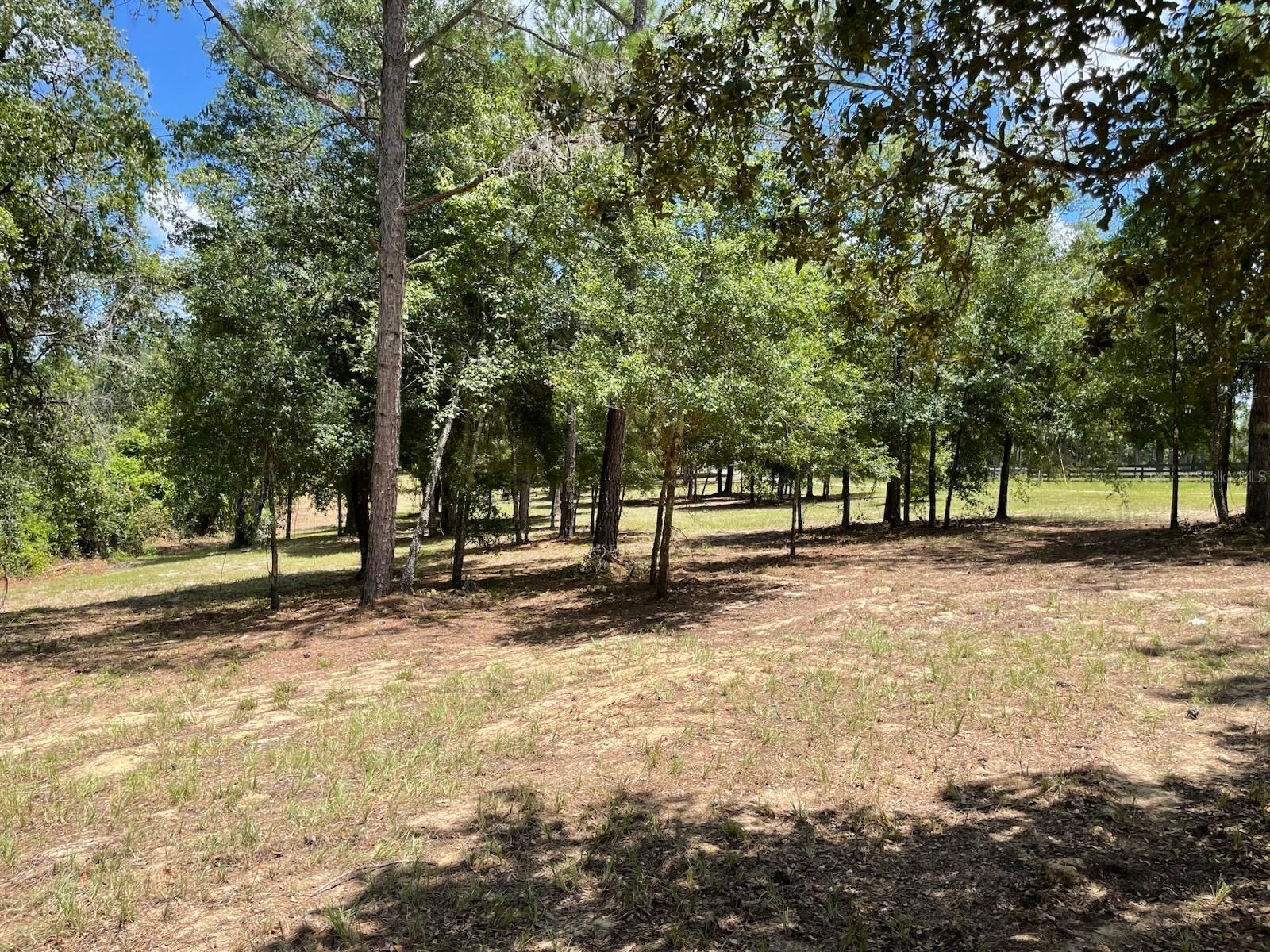 Calhoun Rd Property Photo 6