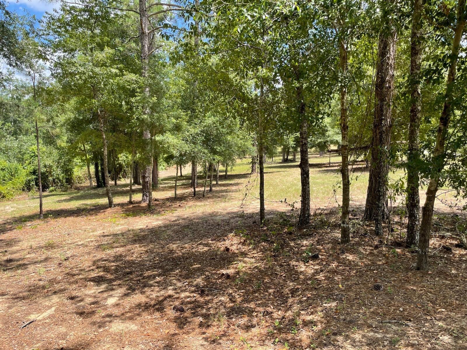 Calhoun Rd Property Photo 7