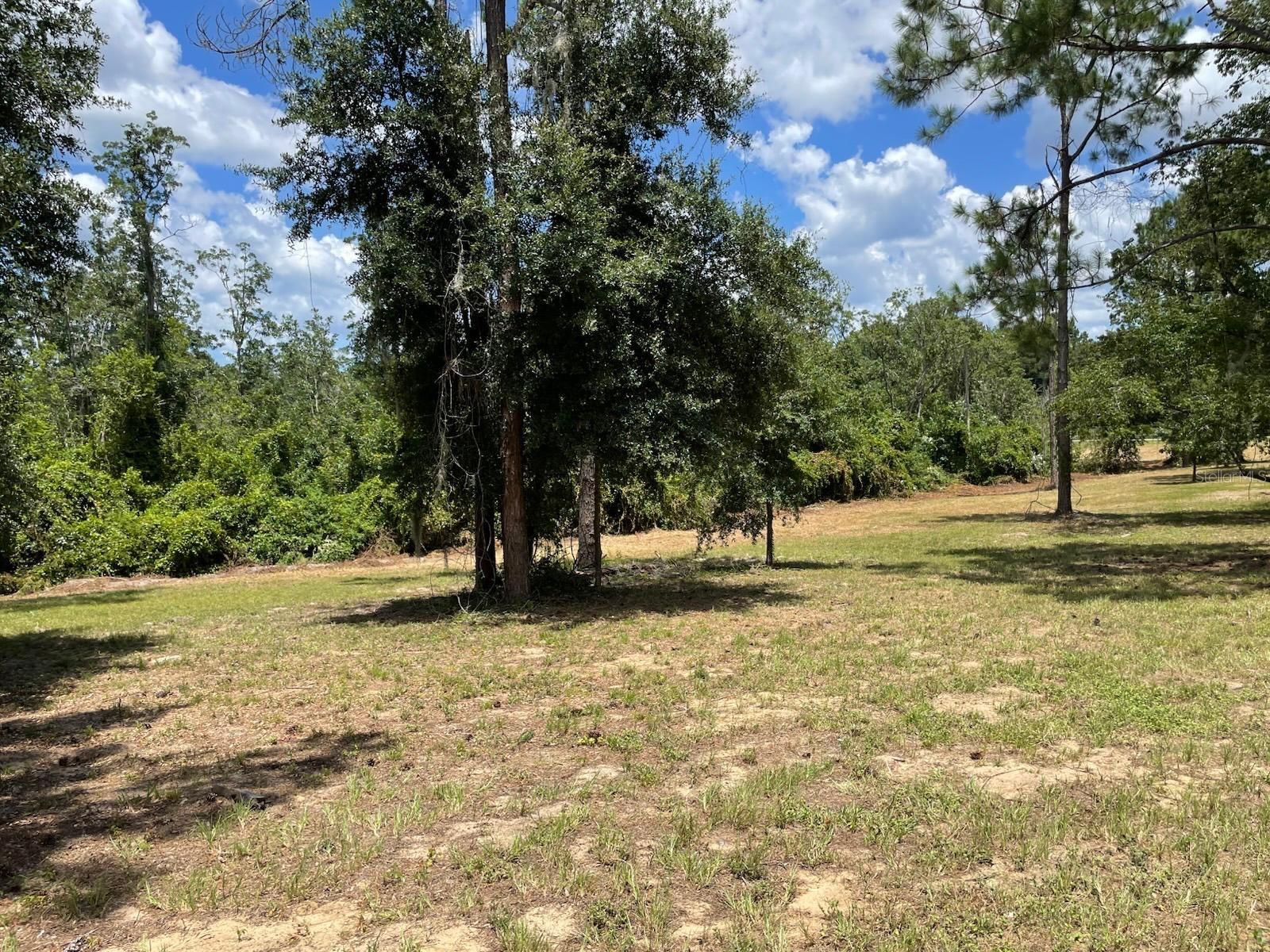 Calhoun Rd Property Photo 9