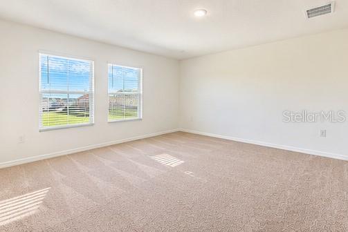 6028 Prairie Run Property Photo 12