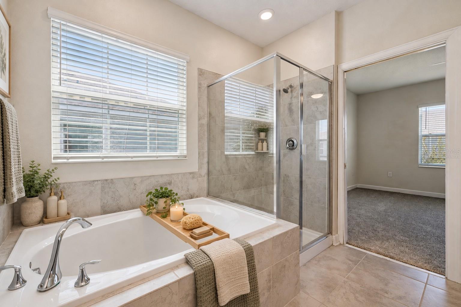 12432 Turtle Grass Dr Property Photo 29