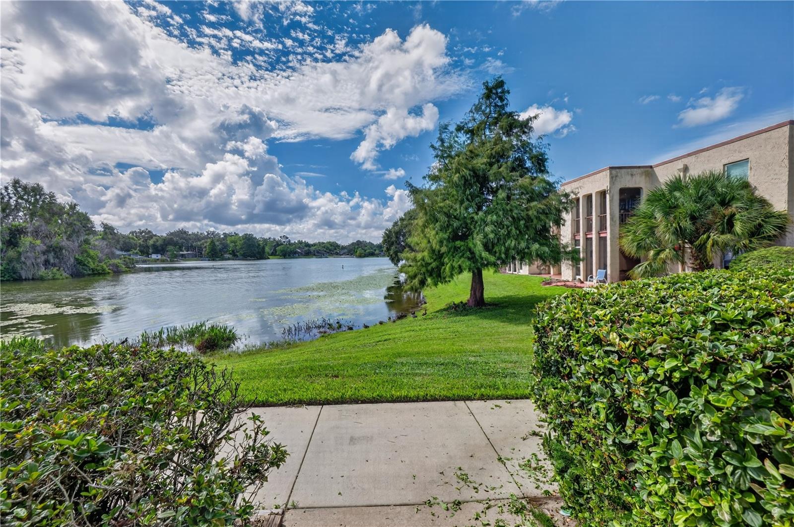 O6446627 Property Photo 18