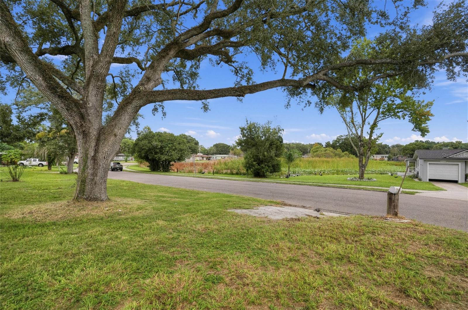 3036 Condel Dr Property Photo 4