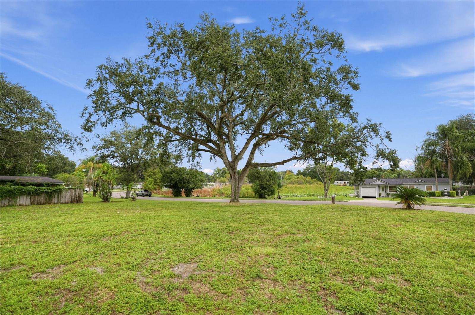 3036 Condel Dr Property Photo 5