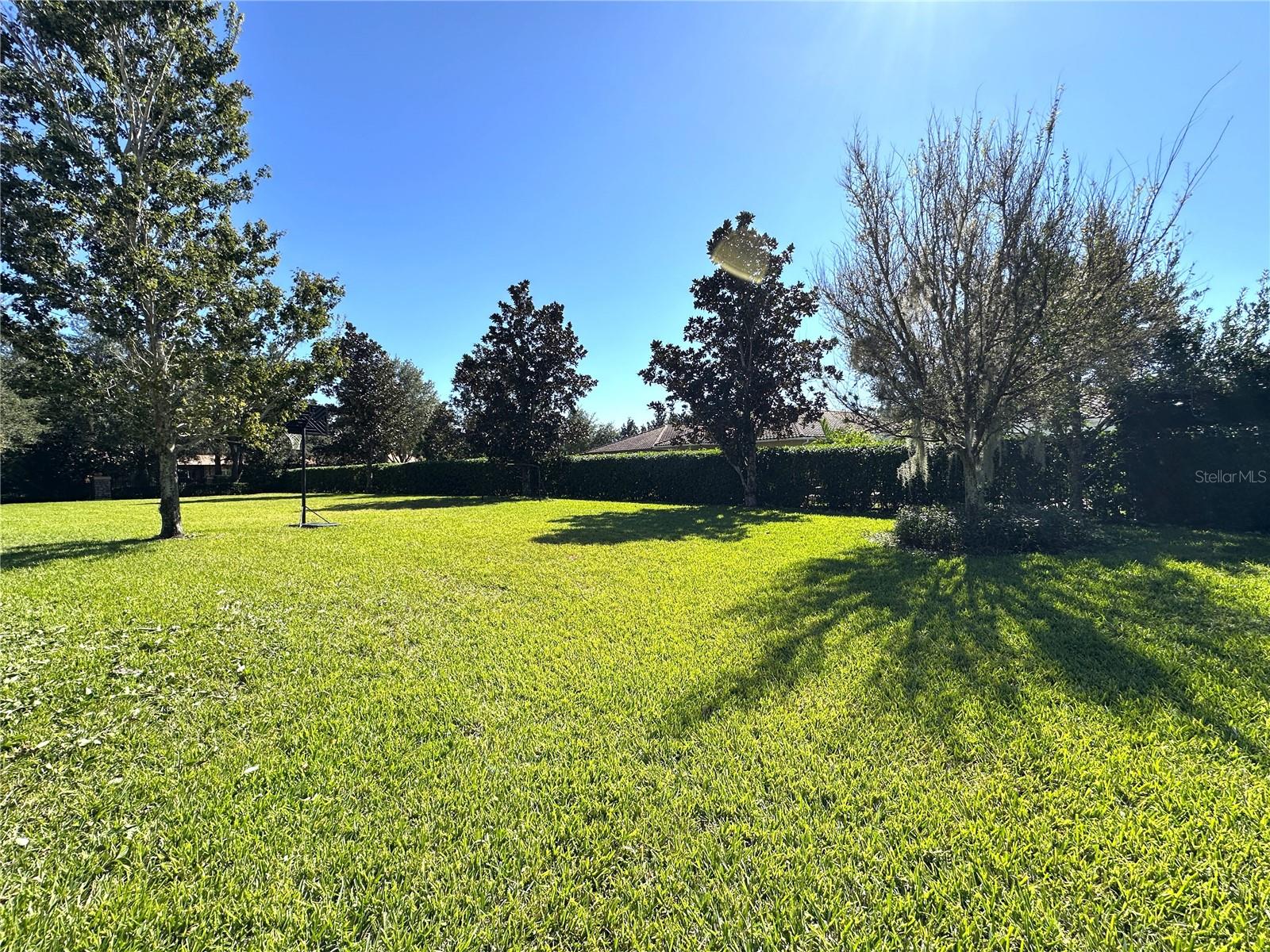 8474 Kelsall Dr Property Photo 4