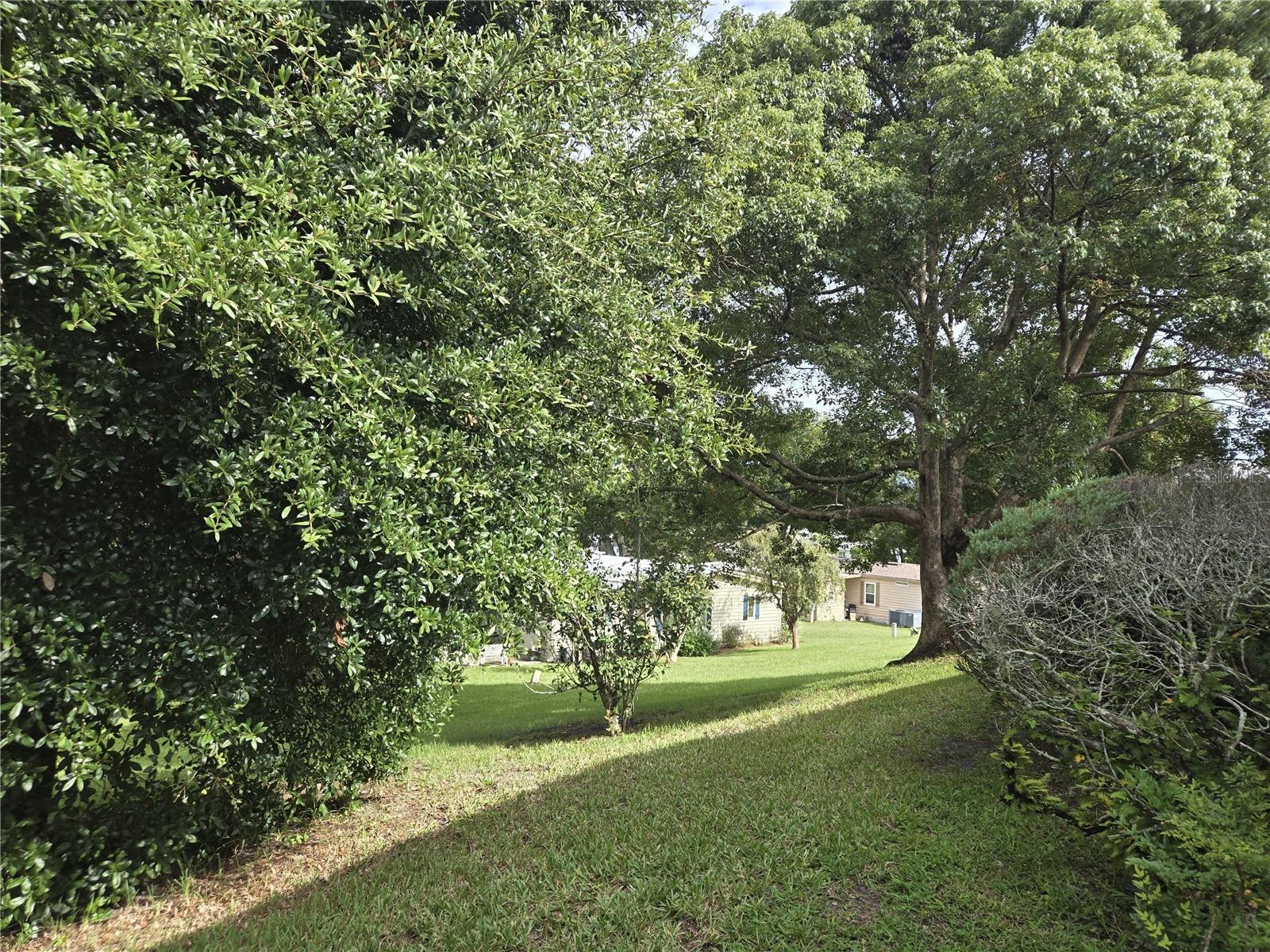 3419 Buttonbush Dr #1816 Property Photo 4