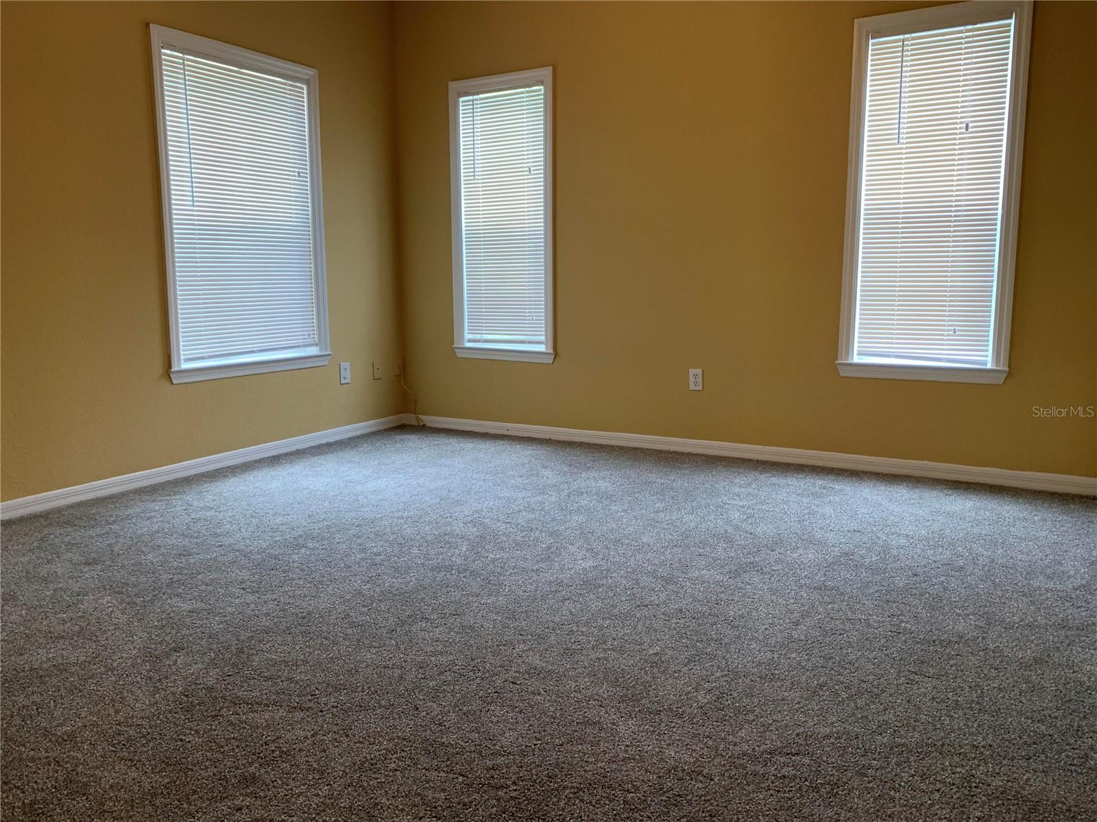 3751 Conroy Rd #2311 Property Photo 7