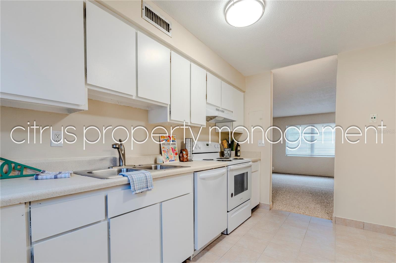 3026 Fairway Ln #b Property Photo 9