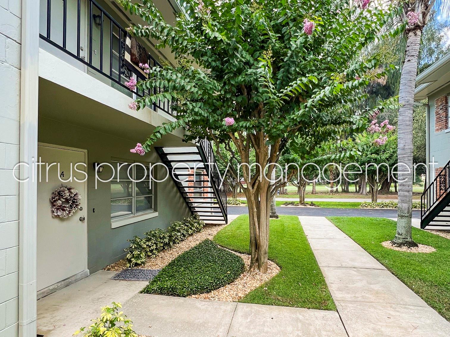3026 Fairway Ln #b Property Photo 15