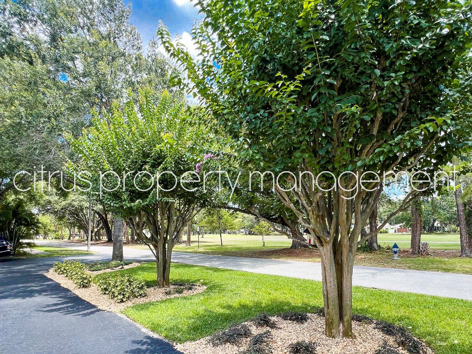 3026 Fairway Ln #b Property Photo 20