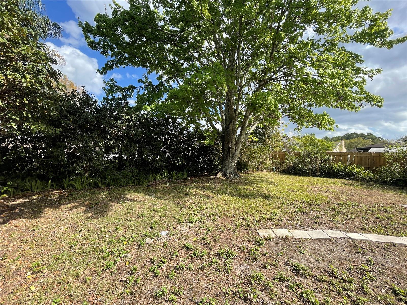 11185 Cypress Leaf Dr Property Photo 10