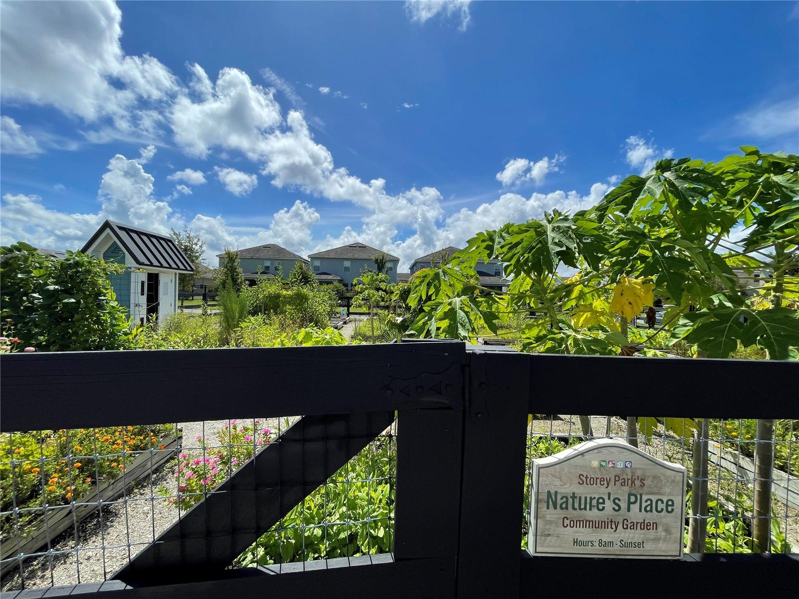 11800 Metaphor Aly Property Photo 25