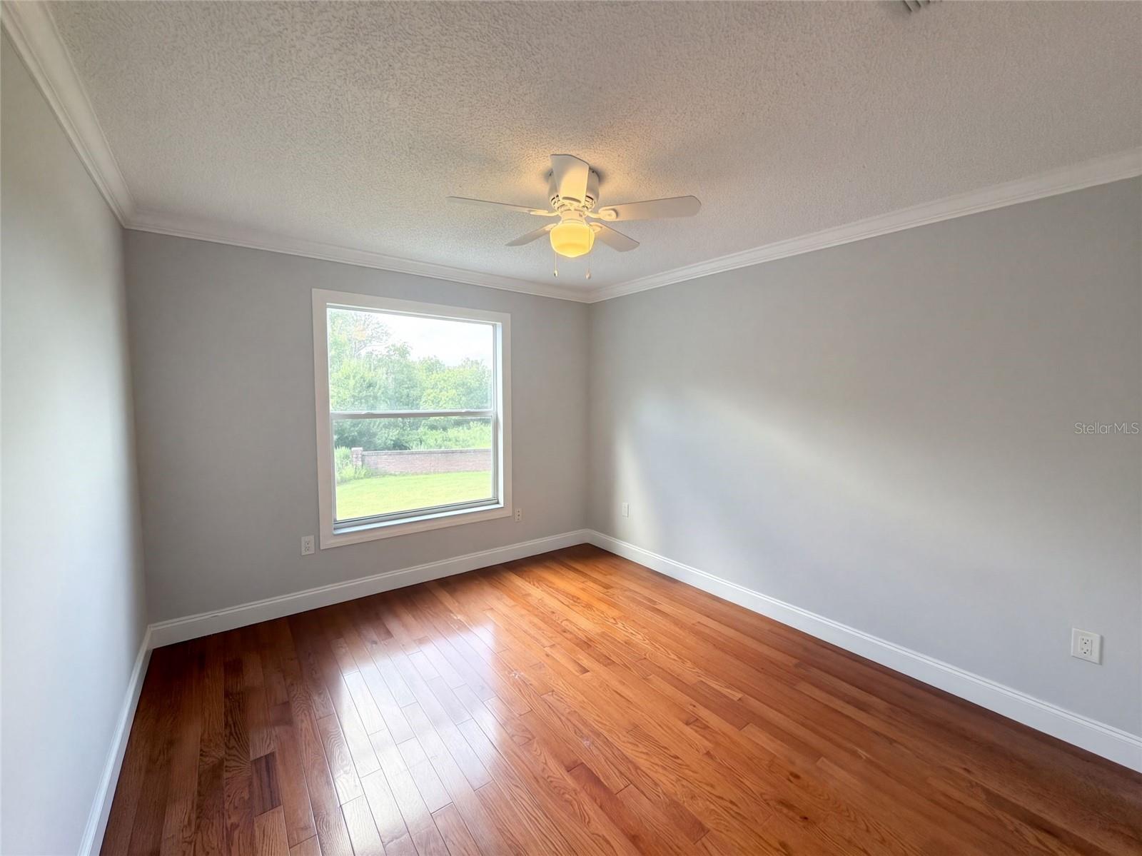 2541 Jasmine Trace Dr Property Photo 18