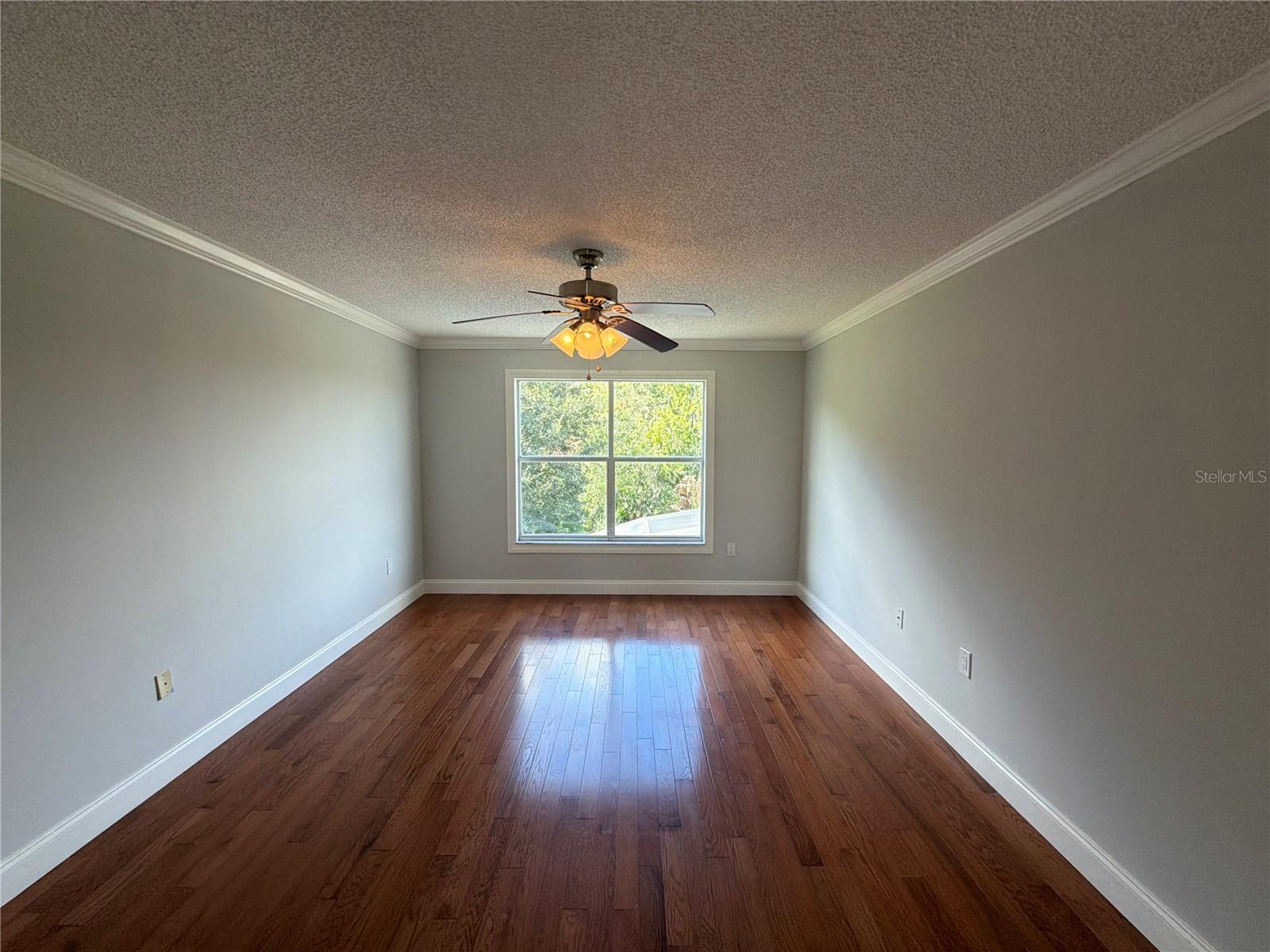 2541 Jasmine Trace Dr Property Photo 20
