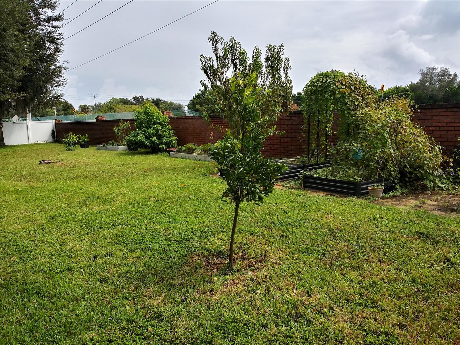 625 Red Pepper Loop Property Photo 52