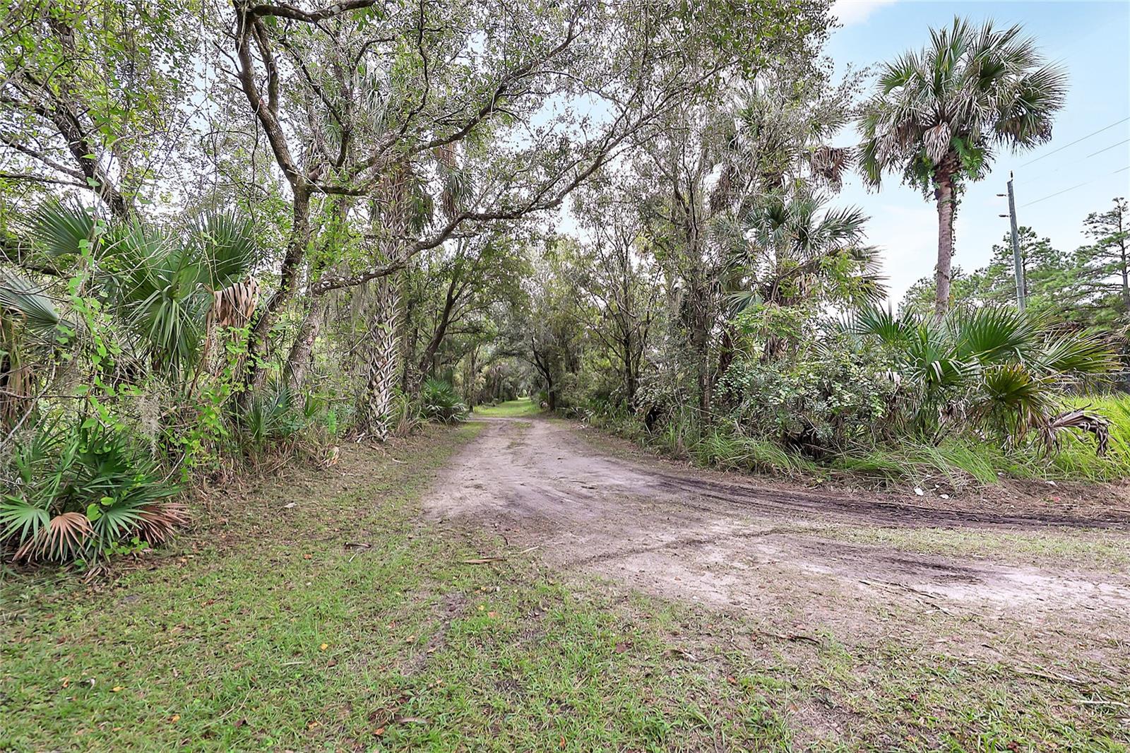 2415 Waccassa St Property Photo 6