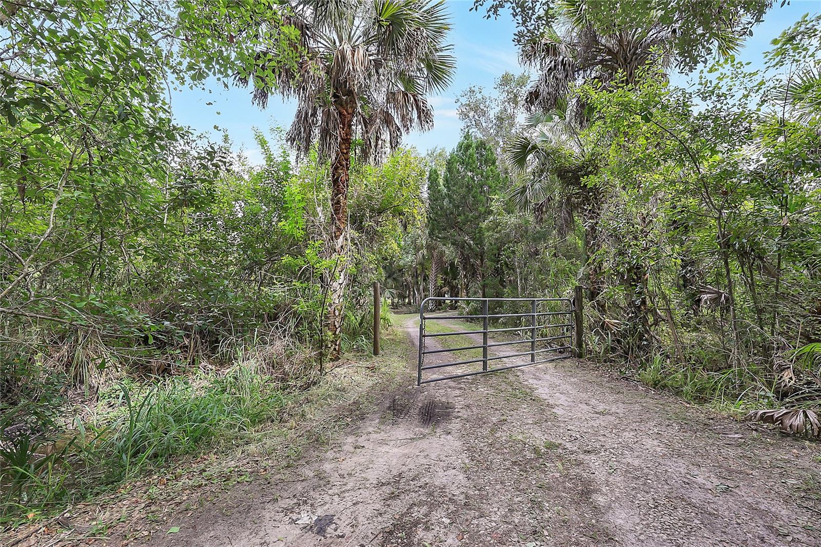 2415 Waccassa St Property Photo 7
