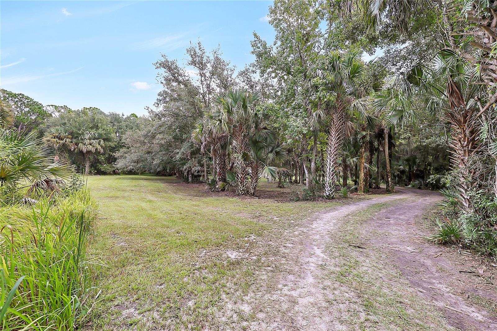 2415 Waccassa St Property Photo 8