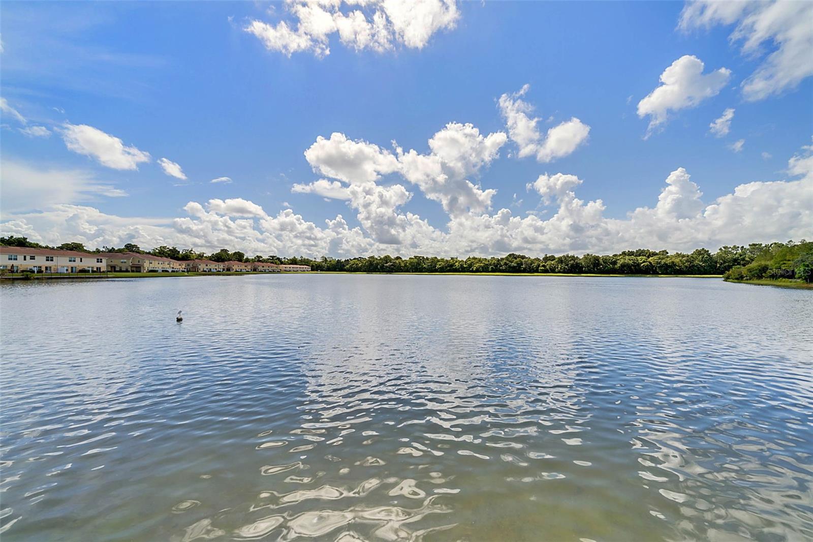 3853 Gliding Pl Property Photo 4