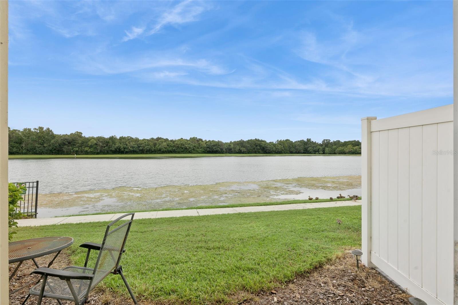 3853 Gliding Pl Property Photo 48