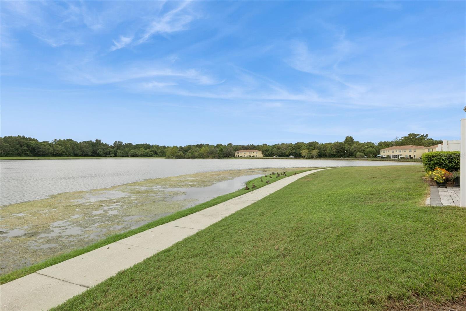 3853 Gliding Pl Property Photo 49