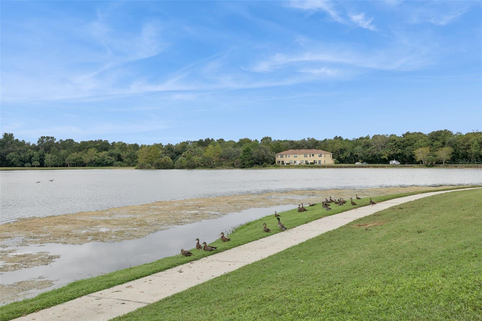 3853 Gliding Pl Property Photo 50