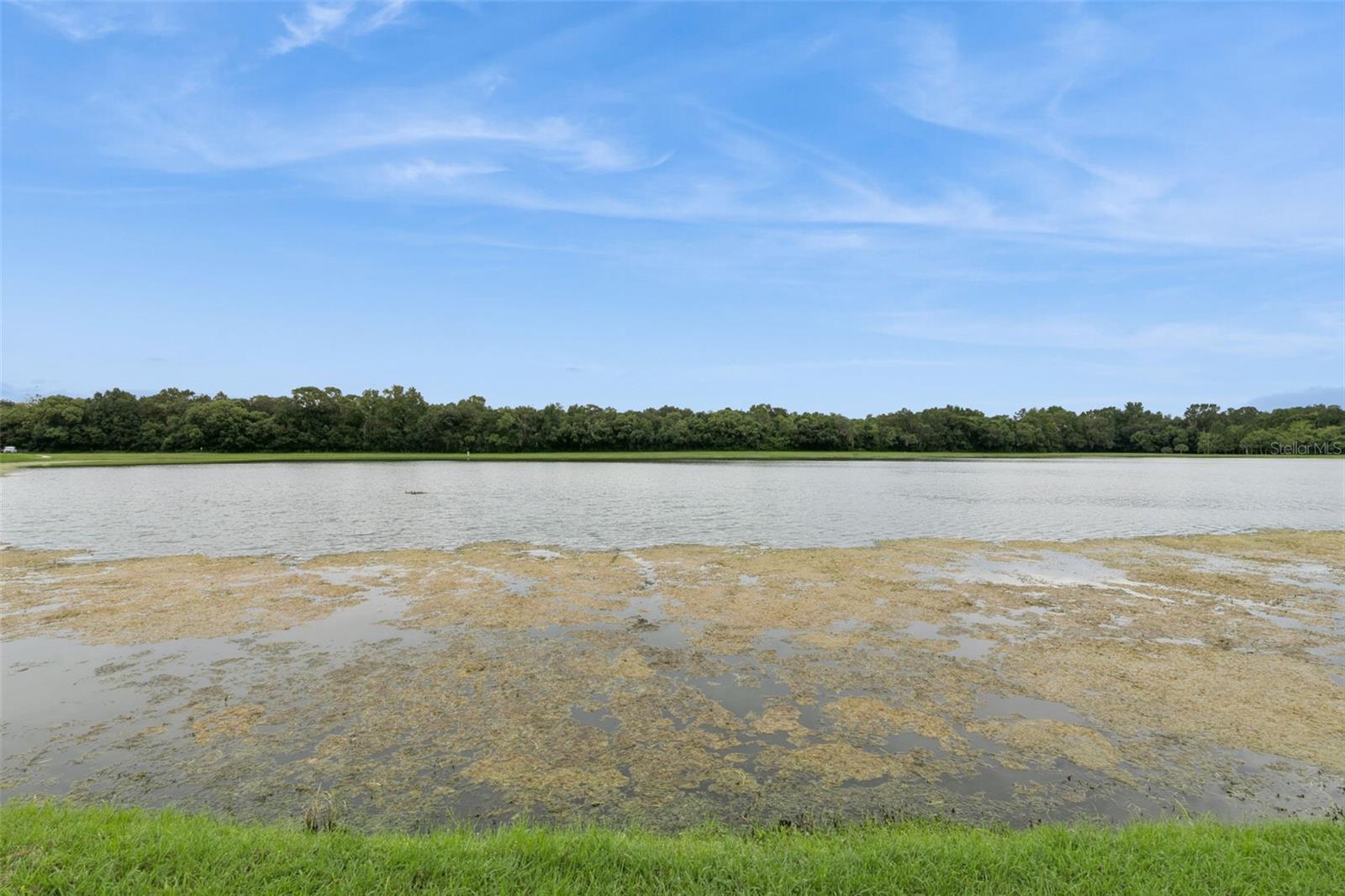3853 Gliding Pl Property Photo 51