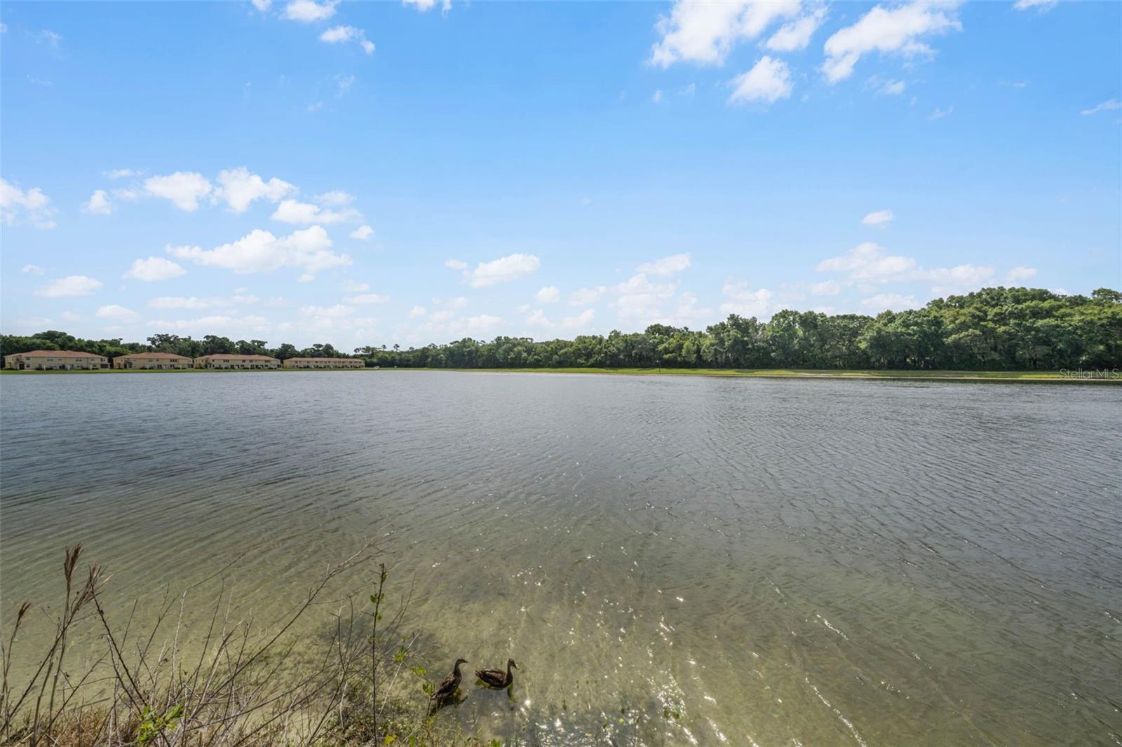 3853 Gliding Pl Property Photo 52