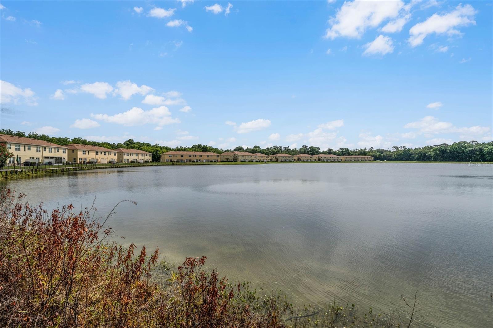 3853 Gliding Pl Property Photo 53