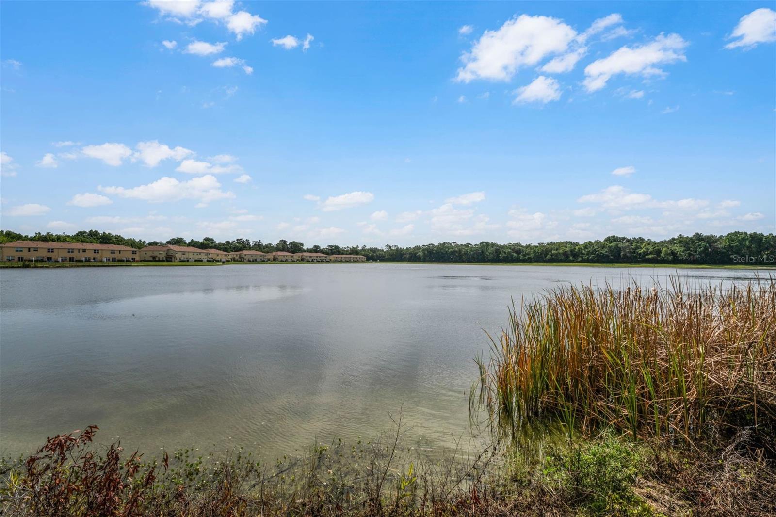 3853 Gliding Pl Property Photo 54