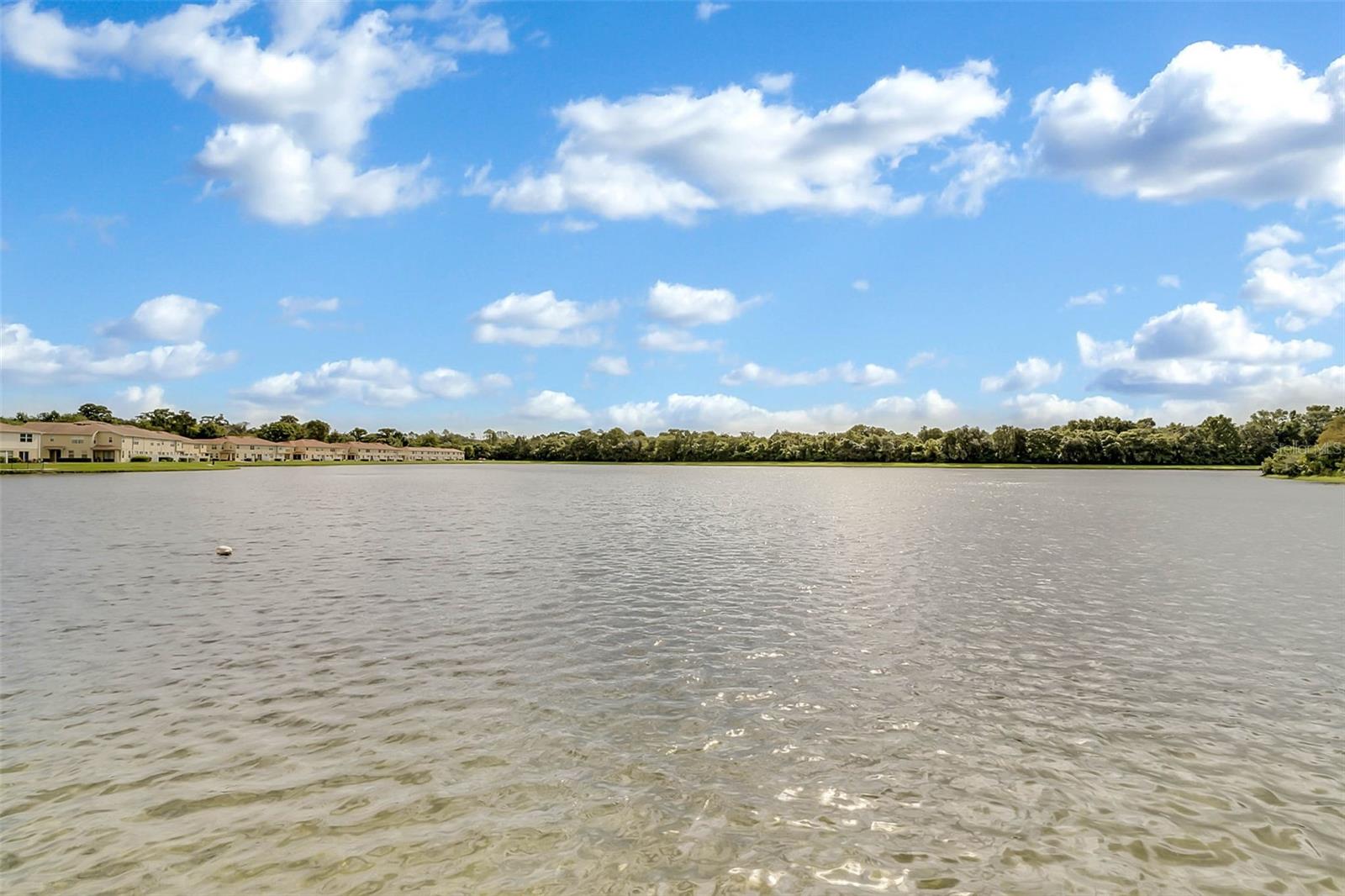 3853 Gliding Pl Property Photo 71