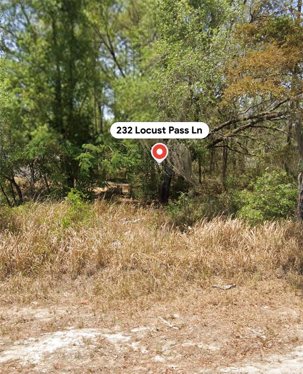 232 Locust Pass Ln Property Photo 4