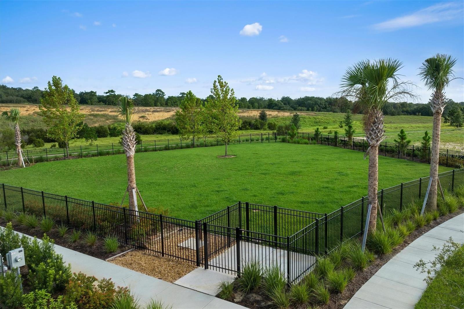 2811 Sweet Acacia Dr Property Photo 18
