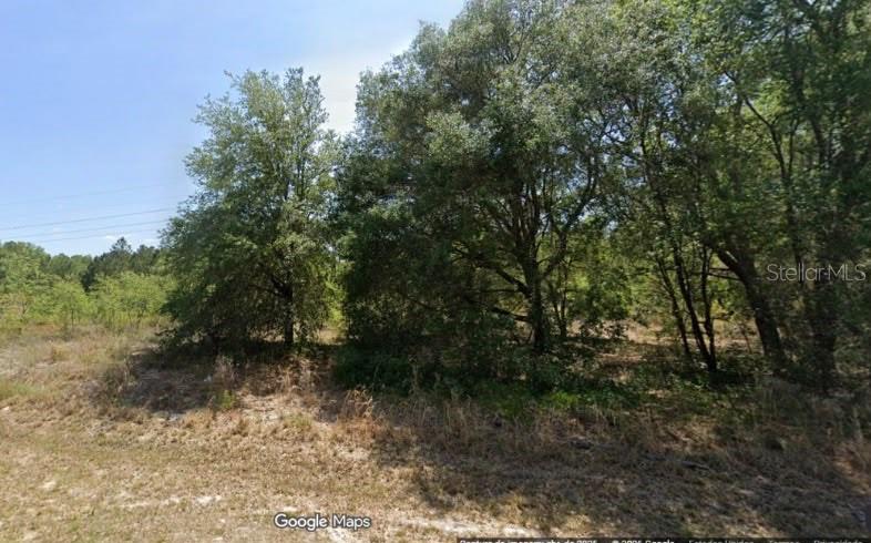 Locust Rd Property Photo 3