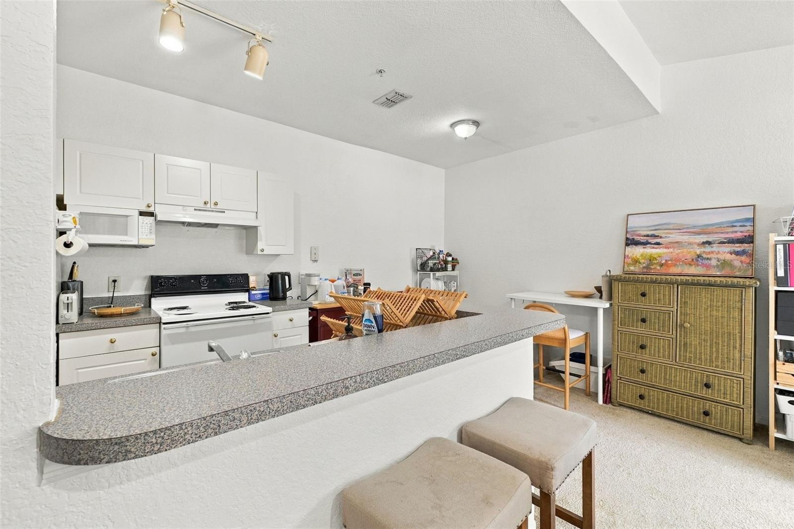 822 Grand Regency Pt #201 Property Photo 15