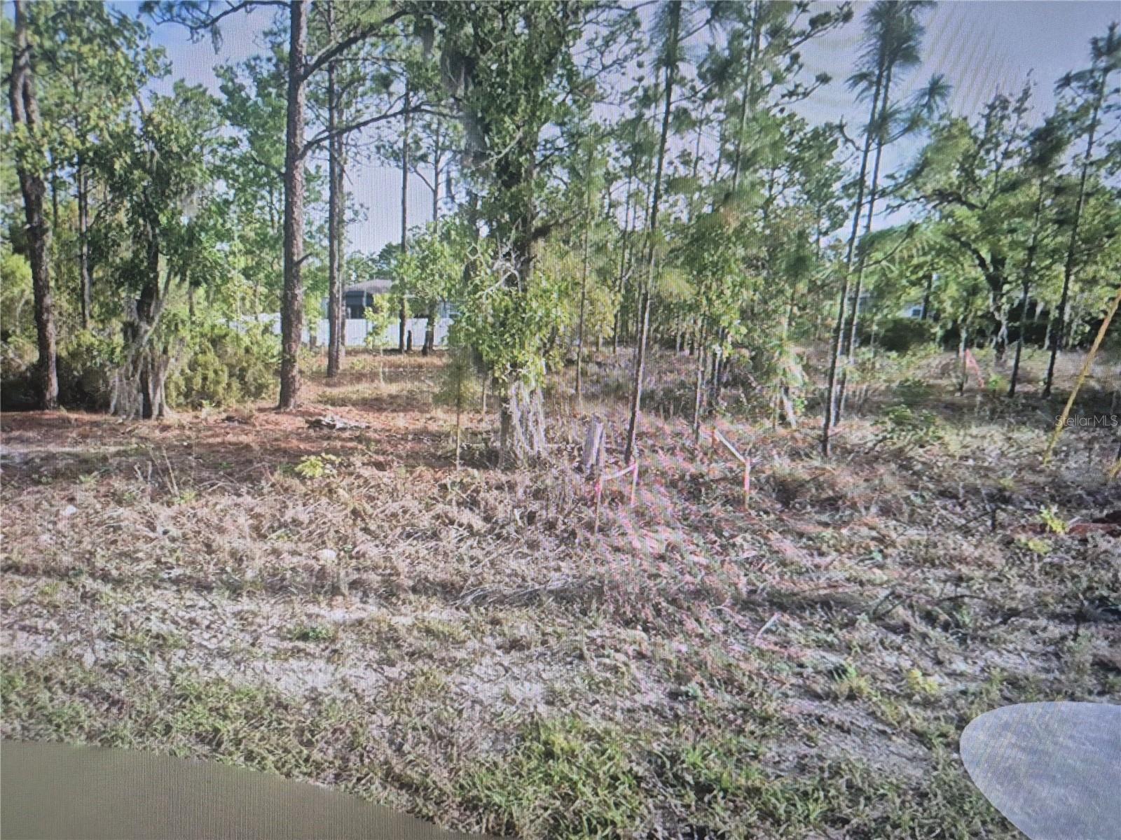 2651 W BRAVURA DR Property Photo 1