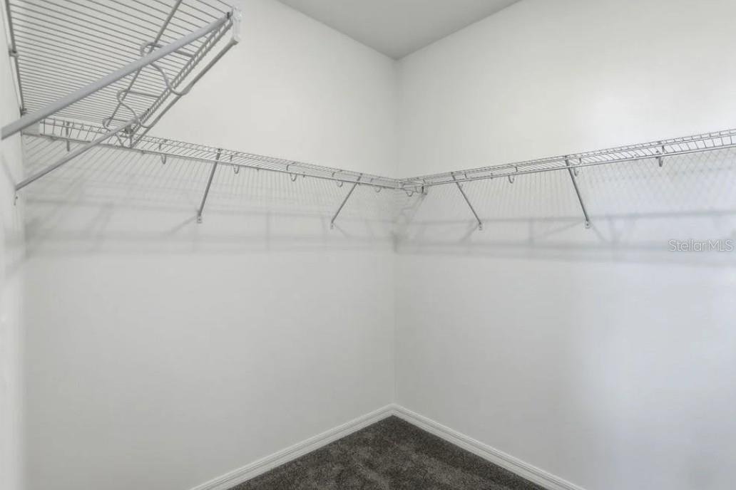 14791 Field Daisy Dr Property Photo 14