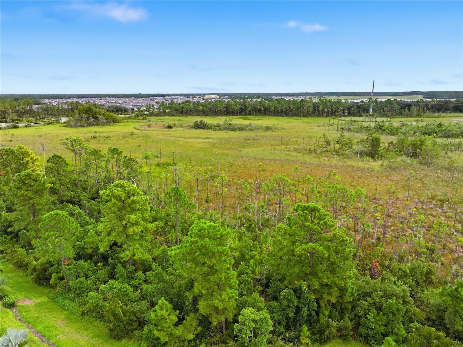 2769 Cherry Blossom Loop Property Photo 42