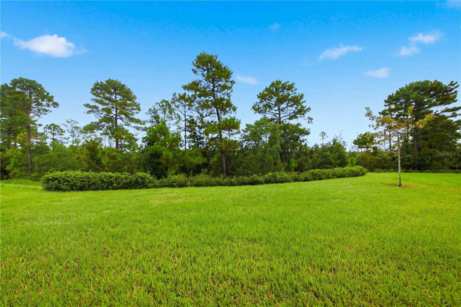 2769 Cherry Blossom Loop Property Photo 43