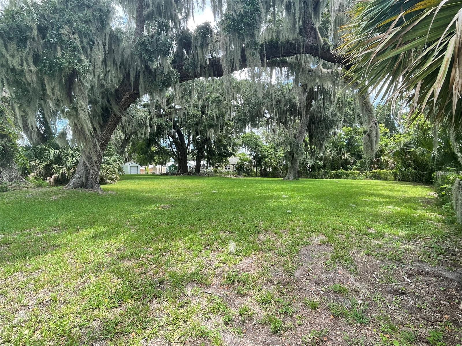 2829 LIME TREE Property Photo 1