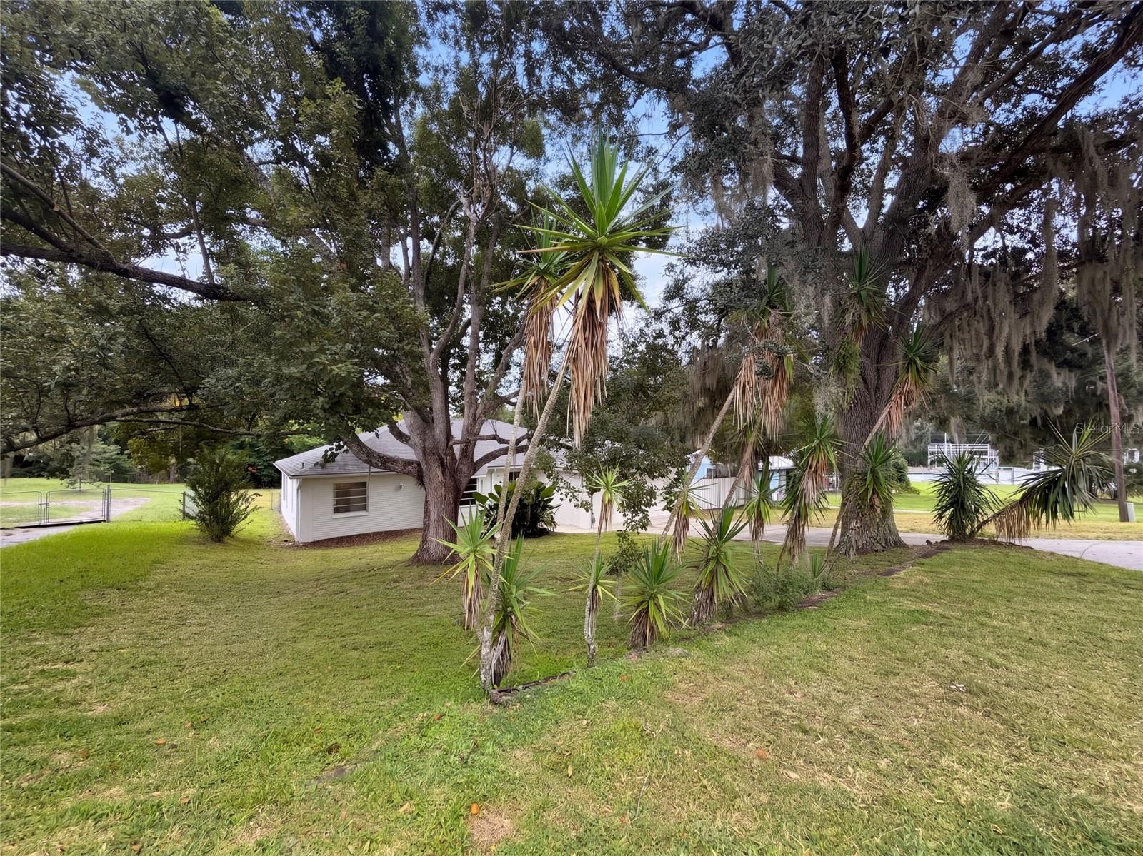 12054 Joe Herrmann Dr Property Photo 30