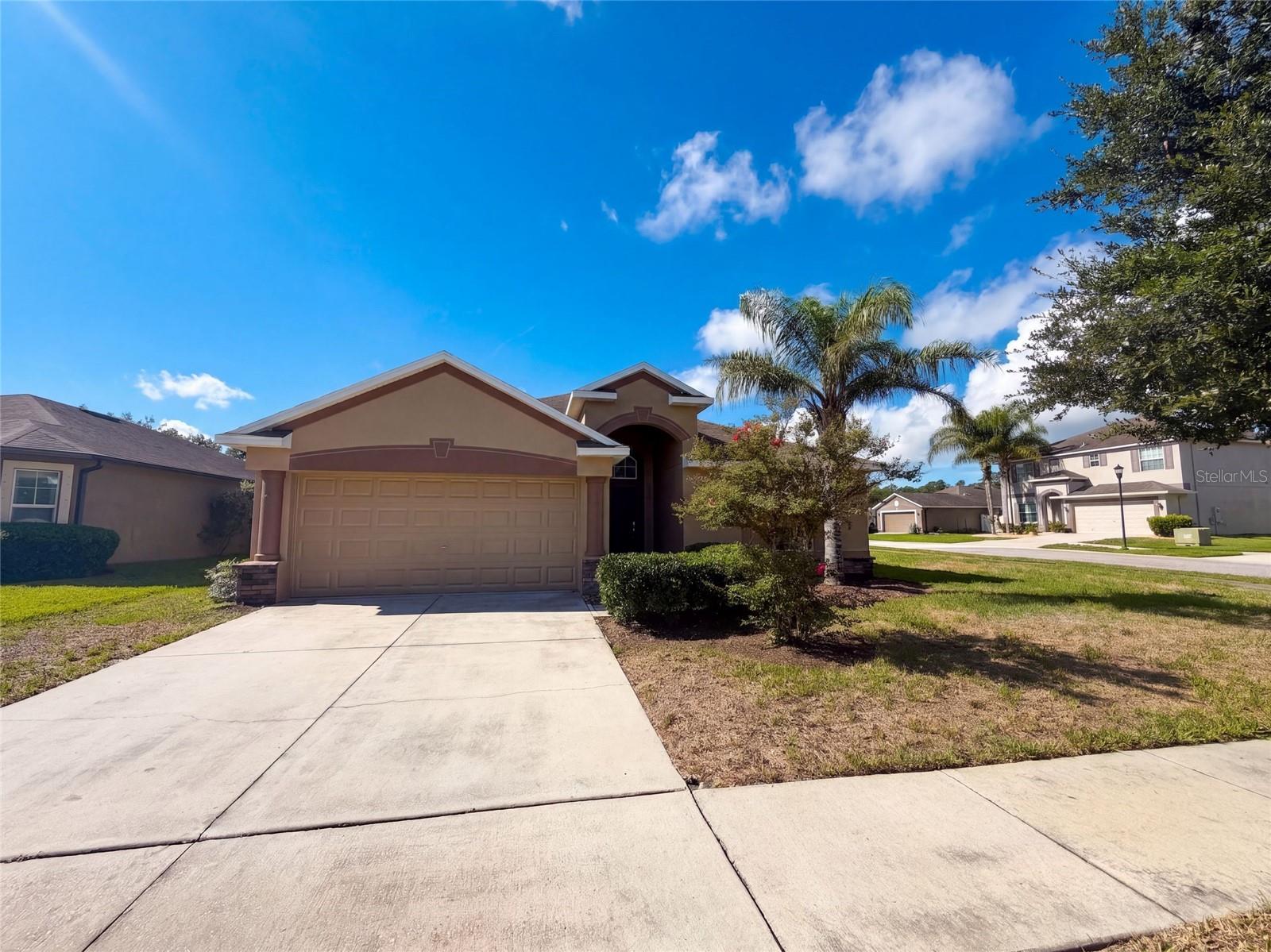 10080 TOLMAN DR Property Photo 1