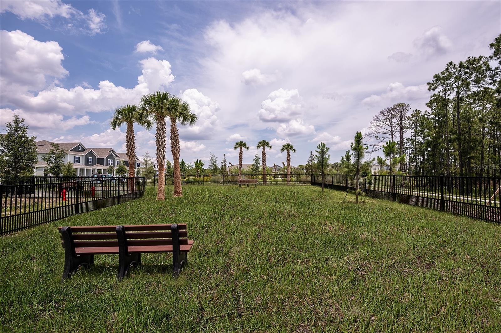 14775 Field Daisy Dr Property Photo 27