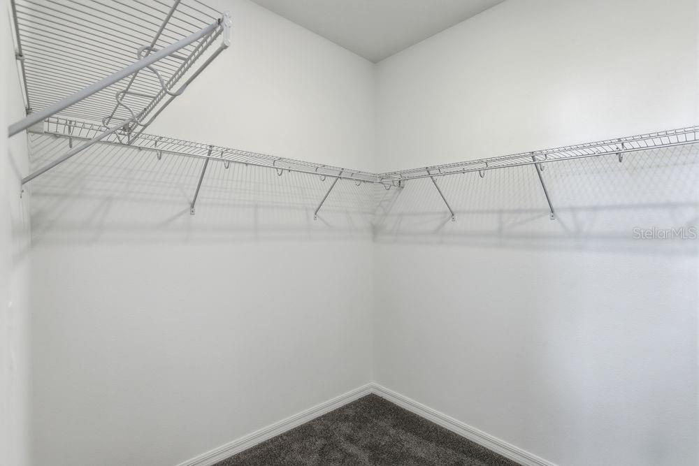 14795 Field Daisy Dr Property Photo 16